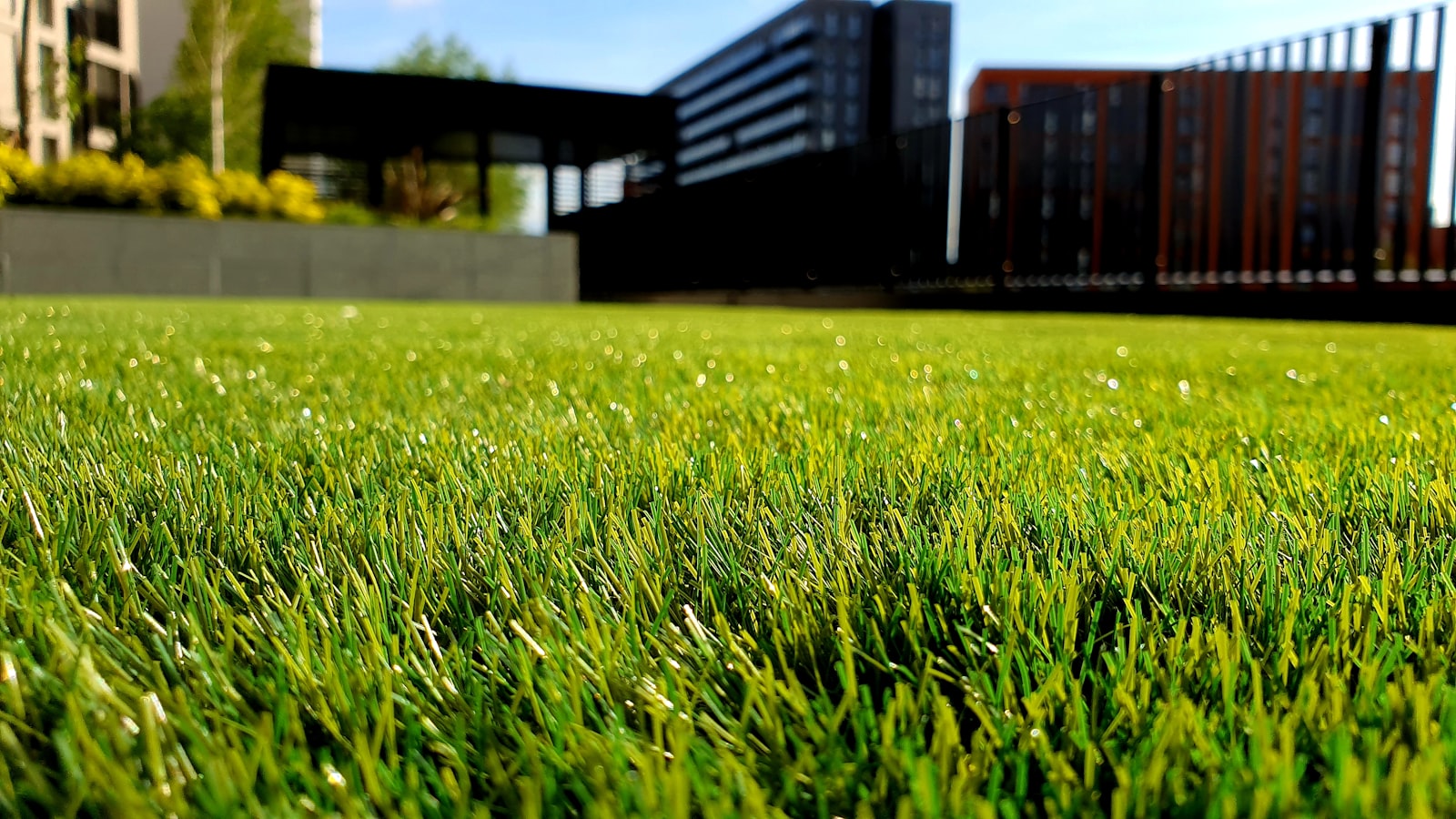 Lush, freshly maintained landscaped lawn and garden beds