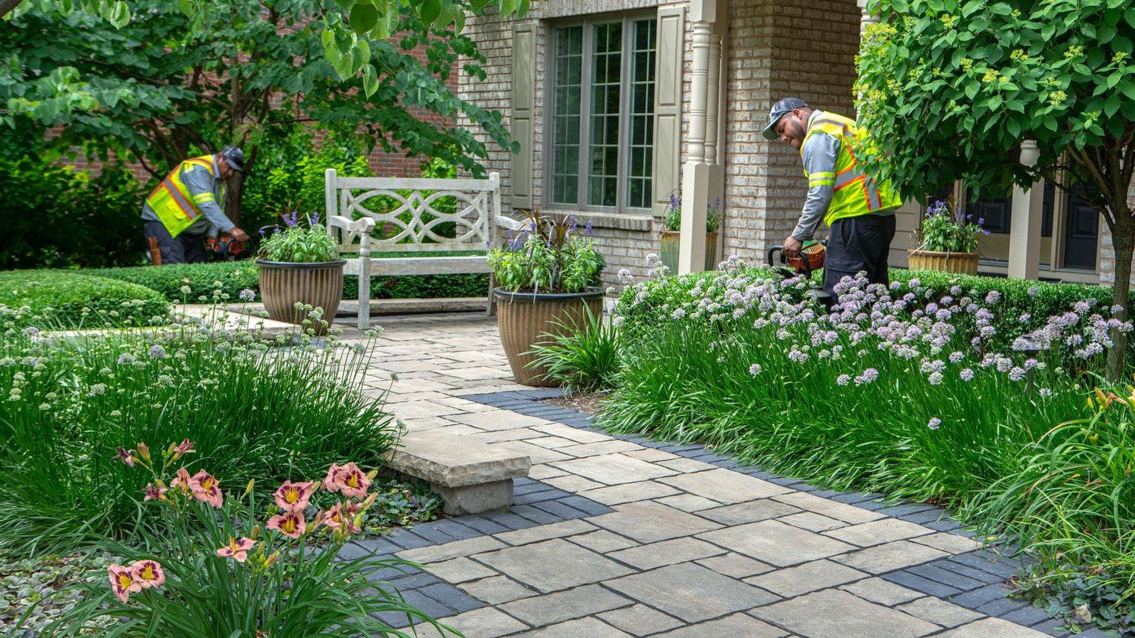 Landscaping crew maintaining a paver walkway and plantings